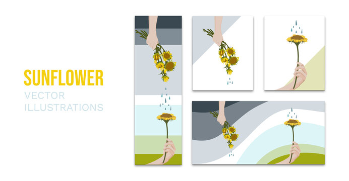 Sunflower Illustrations: Life and Death