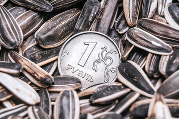 Russian ruble coin among sunflower seeds. The concept of agribusiness for the production of sunflower oil