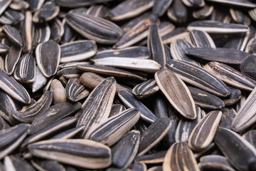 Dry raw sunflower seeds of gray color, top view