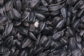 Background of dried black sunflower seeds used for oil extraction