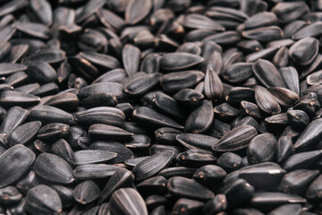 Dry black sunflower seeds of black color, selective focus