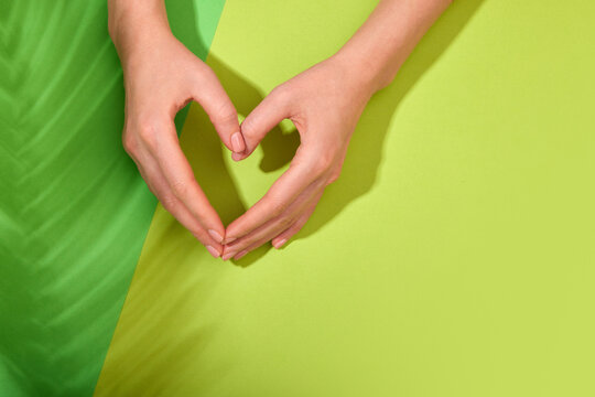 Female hands with natural manicure nails making heart symbol on green background shadow of plant background