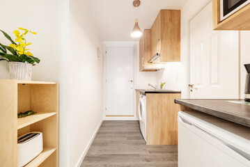 Kitchen with dark gray countertops with small appliances above it, wood cabinets and white built-in appliances next to a foyer with shelves of decorative plants in a vacation rental apartment