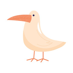 gull bird icon
