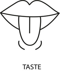 There are five sense organs, these are sight, hearing, smell, touch, taste. Separately, vision and hearing are distinguished from them and it is noted that these are the main suppliers of information 