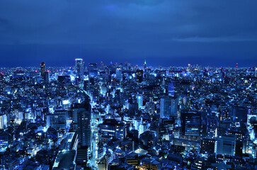 東京都渋谷区恵比寿ガーデンプレイスの北側の夜景