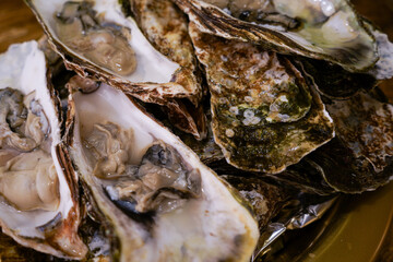 Fresh oysters with lemon