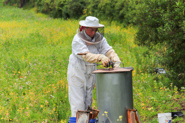 Mujer apicultora utilizando la maquina centrifugadora para extraer la miel con el campo de background - obrazy, fototapety, plakaty