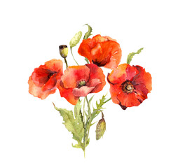 Red poppy flowers bouquet. Watercolor for Memorial, Anzac day