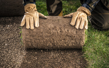 Natural Grass Roll Installed by Professional Gardener