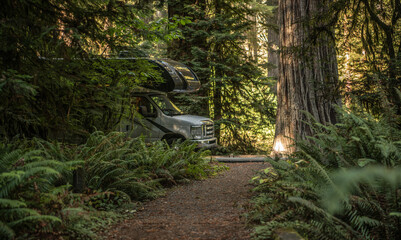 RV Camping in the Redwood Forest of California