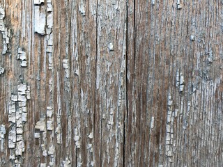 Close up of texture of old scratched weathered wooden boards with peeling and worn paint. Vintage background and pattern for design and decoration. Grunge style backdrop. Faded effect.