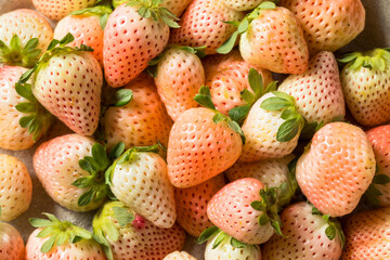 Organic Raw Pink Pineberries