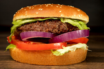 burger on dark background with french fries