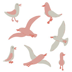Cartoon atlantic seabird. 7gulls in a vector flat style.