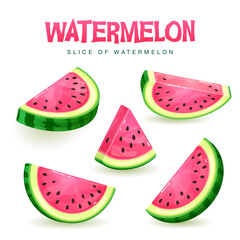 Set of watermelon slices isolated on white background. Vector watermelon illustration