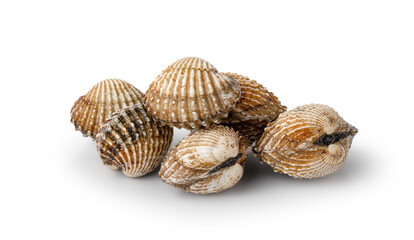 Fresh cockles isolated on white background with Clipping Path. Natural seafood.