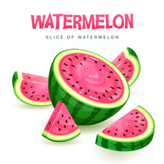Set of watermelon slices isolated on white background. Vector watermelon illustration