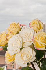 front views, close distance, of an white and yellow roses in full bloom and green stems and leaves, in a glass vase, in an outdoor , tropical location