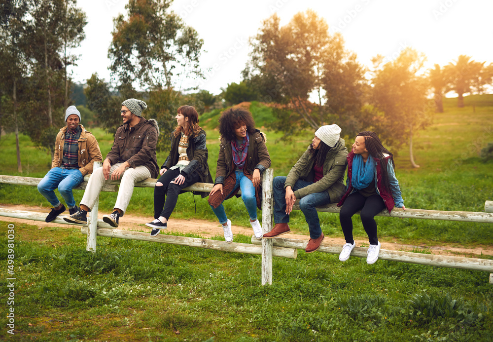 Poster Getting out of the city for the weekend. Shot of a happy group of friends sitting in a row on a fence together.