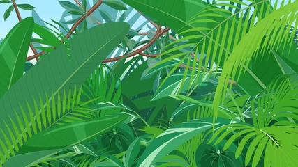 Fotobehang トロピカルな植物の風景_ジャングルの背景イラスト_16:9 © ふわぷか