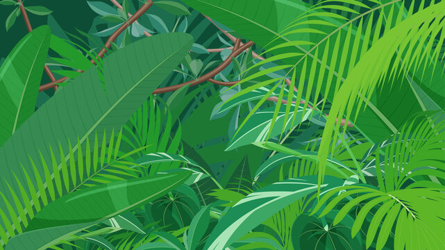 トロピカルな植物の風景_ジャングルの背景イラスト_16:9
