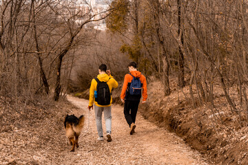 Walking their dog on the path in the forest together while enjoying
