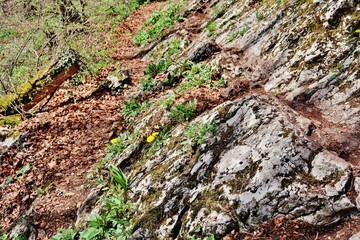Lägern-Höhenweg, Gratwanderung, Schweizer Jura