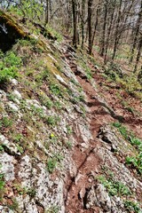 Fototapeta premium Lägern-Höhenweg, Gratwanderung, Schweizer Jura
