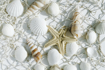 beautiful sea background with seashells and nets - 498989484