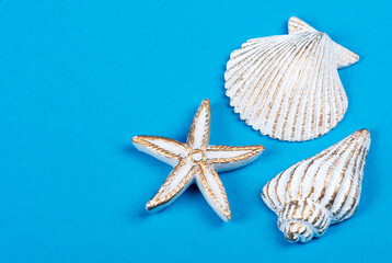 Fototapeta na wymiar Shells and starfish