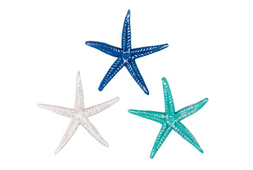 Set of different starfish