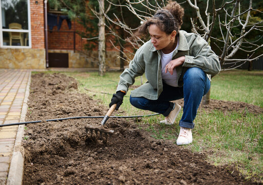 Female gardener loosens soil for sowing and seedlings in early spring, to fight the global crisis and post-war hunger. Sowing to fight the global crisis and post-war hunger.