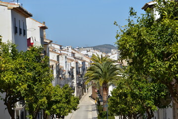 Eine typisch spanische Straße mit Palmen