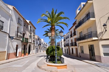 Fototapeta na wymiar Eine Straße mit Palmen an der Costa Blanca 
