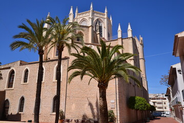 Fototapeta na wymiar Die Palmen vor der alten Kirche von Benissa 