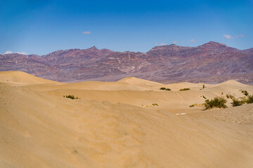 Mesquite Flat Sand Dunes in Death Valley. Mountains on background