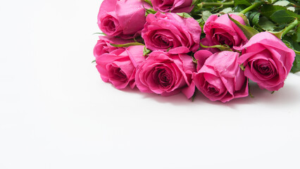 Bouquet of pink roses on a white background