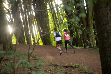 Back view of lively man and woman jogging in forest. Two sporty people in sportive clothes exercising outdoors. Sport, hobby concept