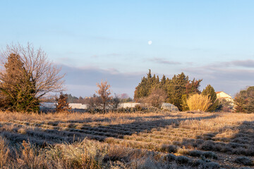 Agricultural landscape, greenhouses and lavender in rural countryside of France, Europe