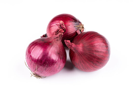 cebula czerwona