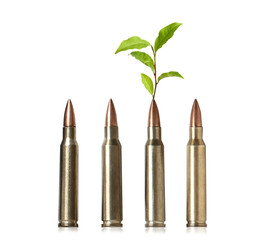 Branch with green leaves and bullets on white background. Peace instead of war