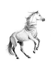 Obraz na płótnie Canvas Colorful horse art illustration grunge painting photography winter