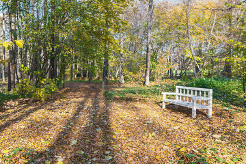 comfortable wooden bench in sunny autumn park in Pushkin mountains, Pskov, Russia