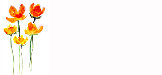 banner fiori arancio, illustrazione ad acquerello isolata su sfondo bianco © sommaria