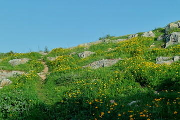 landscape with sky