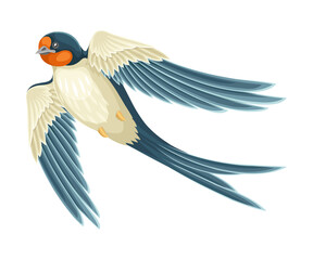 Swallow or Martin Passerine Bird with Long Tail and Pointed Wings Flying or Gliding Vector Illustration
