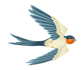 Swallow or Martin Passerine Bird with Long Tail and Pointed Wings Flying or Gliding Vector Illustration
