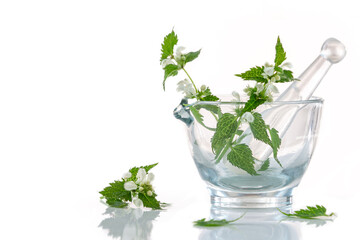 Image of nettles in a glass mortar isolated on white background.