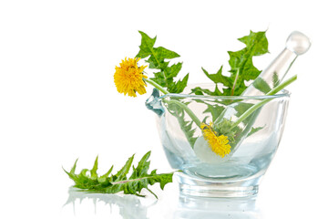 Image of dandelions in a glass mortar isolated on white background.